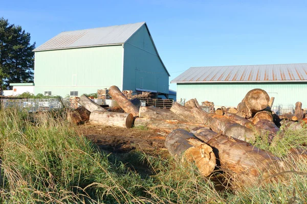 Dilihat Dari Luas Bangunan Pertanian Dan Log Yang Akan Dipotong — Stok Foto