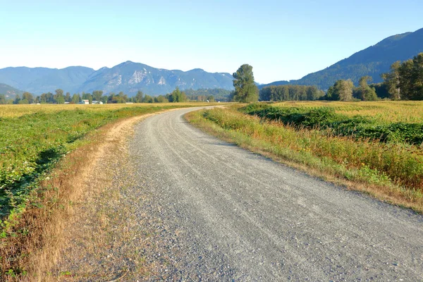 Wide View Gravel Path Winding Beautiful Rural Valley Summer Months — Stock Photo, Image