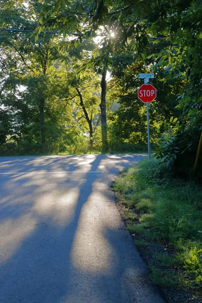 Vertical View Road Intersection Surrounded Nature Illuminated Morning Sun — Stock Photo, Image