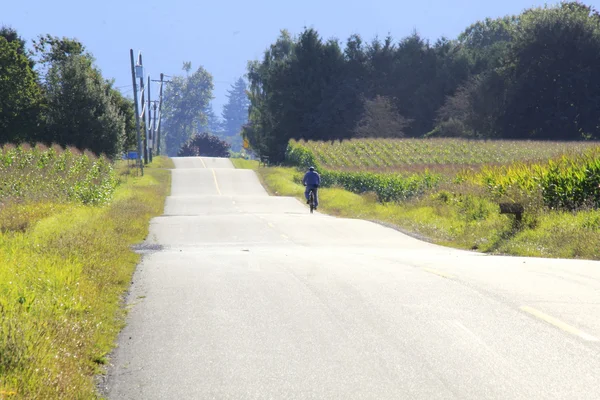 Ciclista su strada rurale — Foto Stock