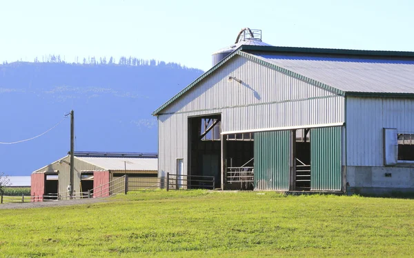 Edifícios de utilidades agrícolas — Fotografia de Stock