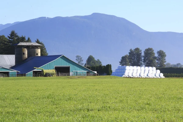 Heno fardos cuidadosamente apilados en la granja — Foto de Stock