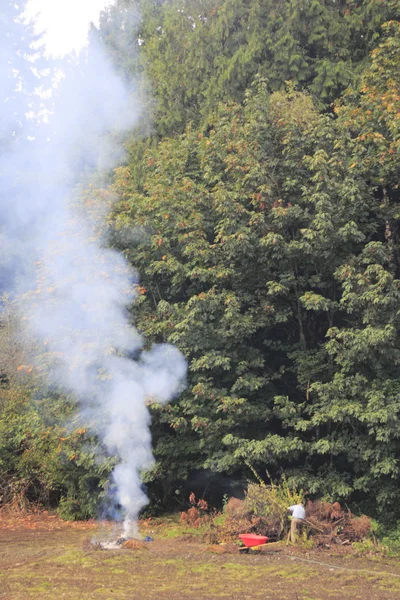 Billowing fumo dal giardino Rifiuti di fuoco — Foto Stock