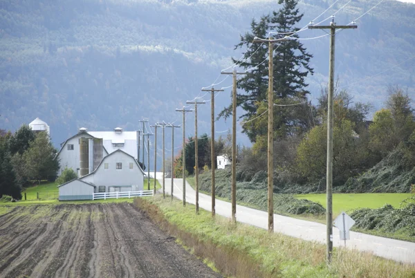 Landelijke weg en landbouwgrond — Stockfoto