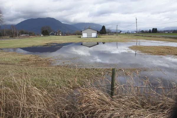 Pluie Terres agricoles saturées — Photo