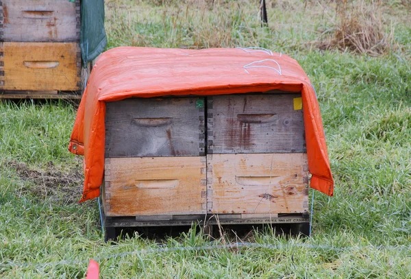 Bienenstockwickel — Stockfoto