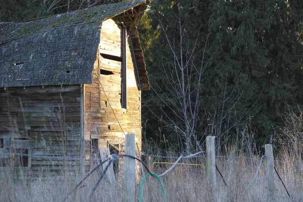 Morning Sun on Vintage Barn — Stock Photo, Image