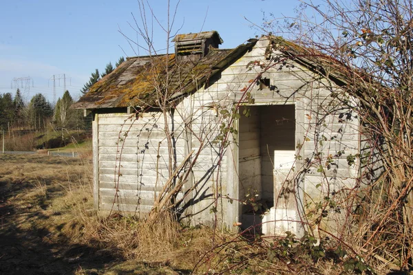 Uma barraca abandonada coberta — Fotografia de Stock