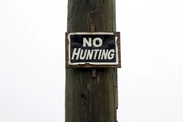 No Hunting Sign on White Background — Stock Photo, Image
