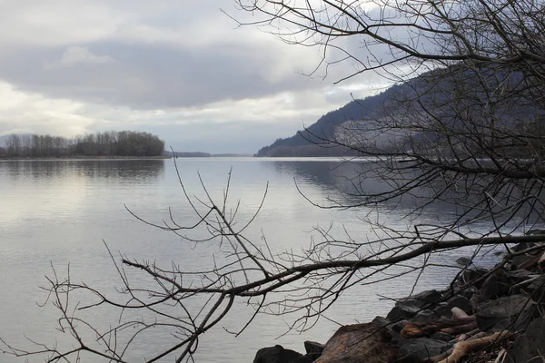 Hiver sur le fleuve Fraser — Photo