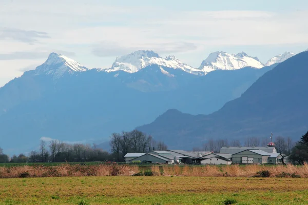 Mount Cheam Range — Stock Photo, Image