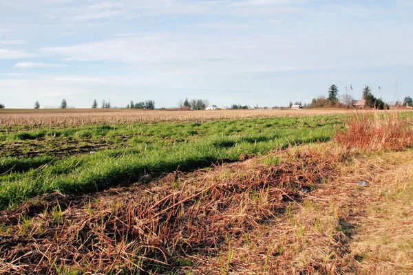 Tierra agrícola del estado de Washington — Foto de Stock