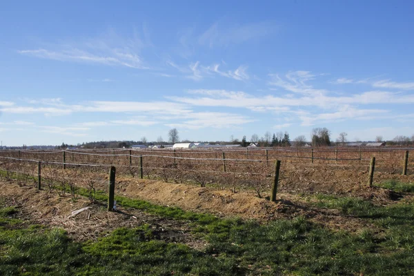 Washington staat boerderij Land — Stockfoto