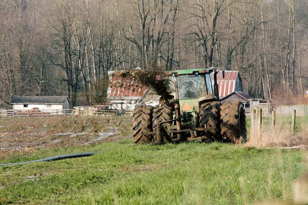 Vloeibare mest verspreid over veld — Stockfoto