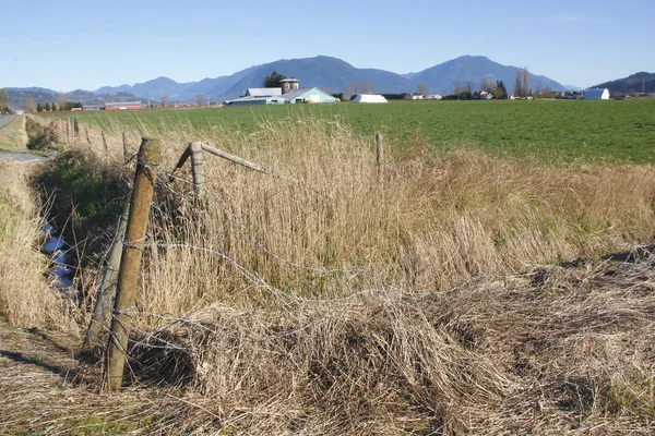 Landelijke boerderij landschap — Stockfoto