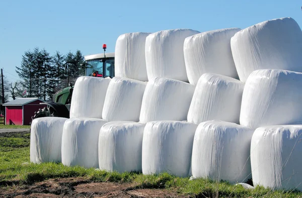 Stacked and Wrapped Hay Bales — Stock Photo, Image