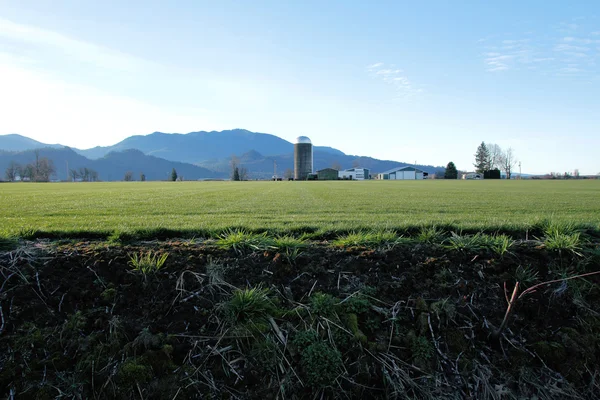 Pacific Northwest Farm Land — Stock Photo, Image
