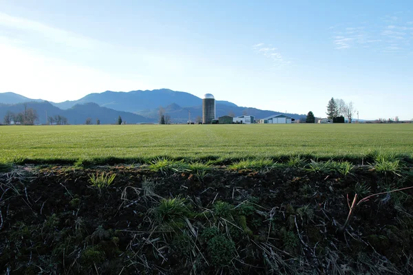 Terreno agrícola do noroeste do Pacífico — Fotografia de Stock