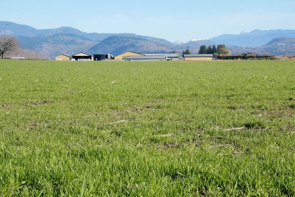 Talbauernhof und Weideland — Stockfoto