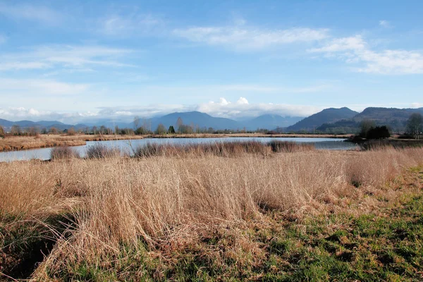 Vom Menschen geschaffener Naturpark und Vogelschutzgebiet — Stockfoto