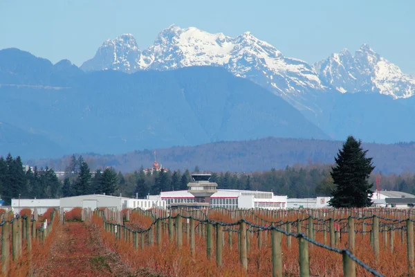 Abbotsford National Airport — Stock Photo, Image