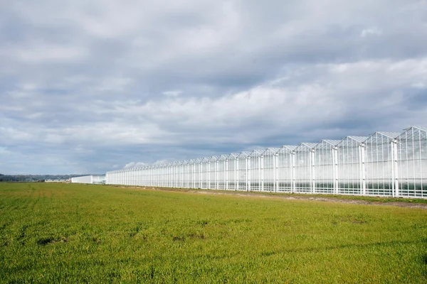 Rural Greenhouse — Stock Photo, Image