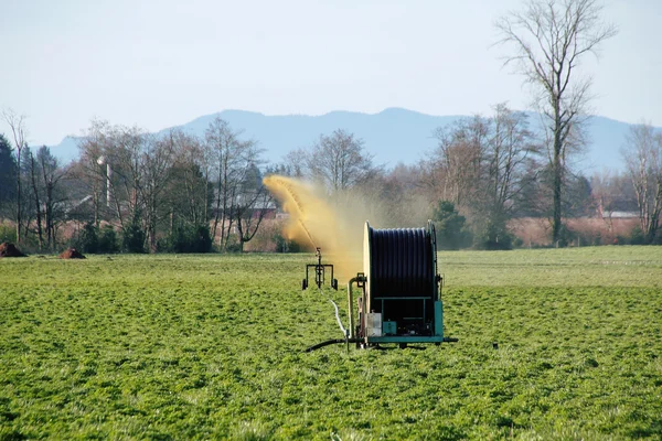 Liquid Manure on Washington Crop — Stock Photo, Image