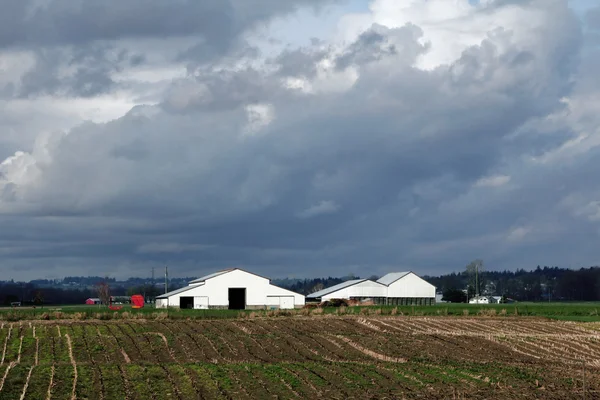 Storm wolken brouwen — Stockfoto