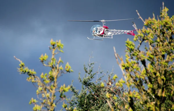 Helikopter door bomen — Stockfoto