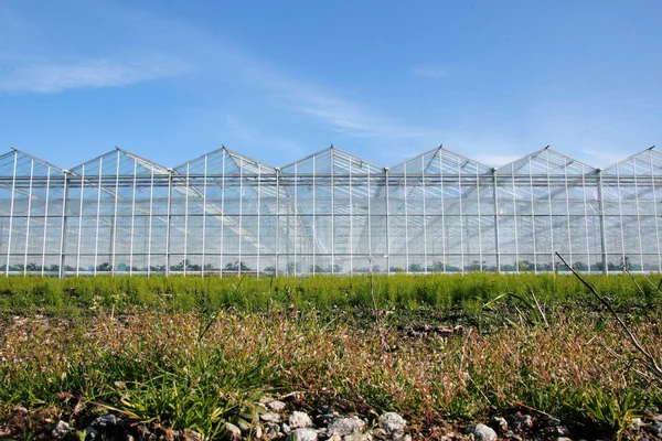 Low Angle Frontal View of Greenhouse — Stock Photo, Image