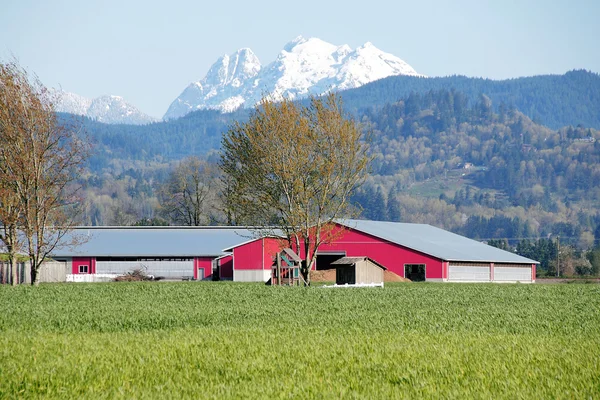 Rural Mountain Farm Land — Stock Photo, Image