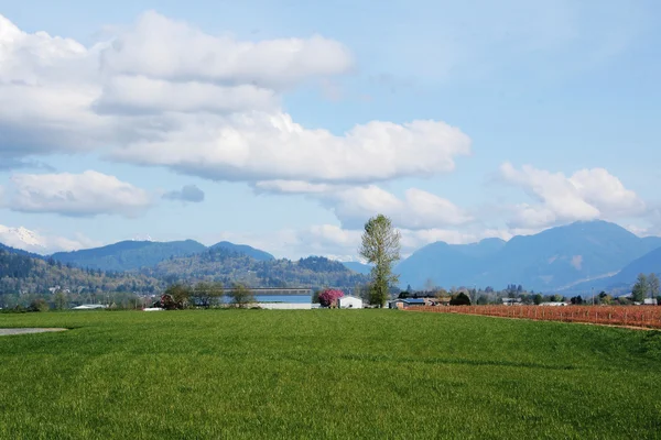 Canadian Agricultural Landscape — Stock Photo, Image