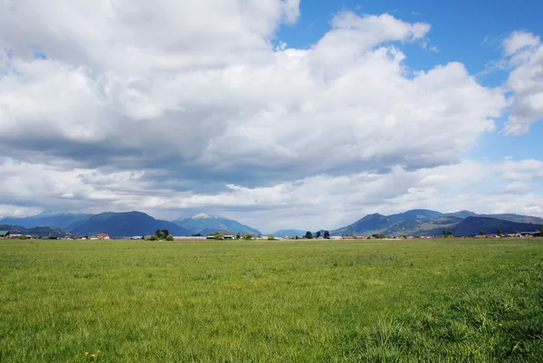 Masqui boerderij land — Stockfoto