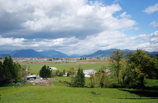 Vallée du printemps — Photo