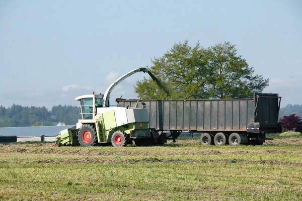 Harvesting the Hay — Stock Photo, Image