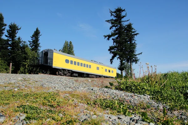 Entraîneur de train — Photo