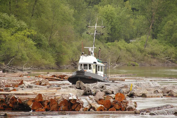 Working Tug Sorting the Cedar — Stock Photo, Image