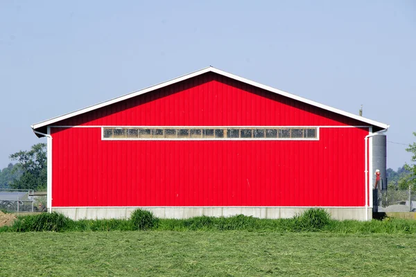 Casa moderna rossa luminosa della gallina — Foto Stock