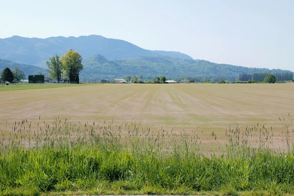 Washington Farming — Stock Photo, Image