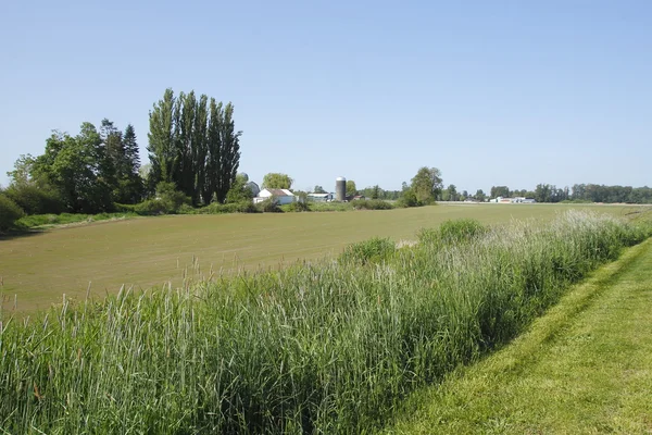 Washington Farm Landscape — Stock Photo, Image