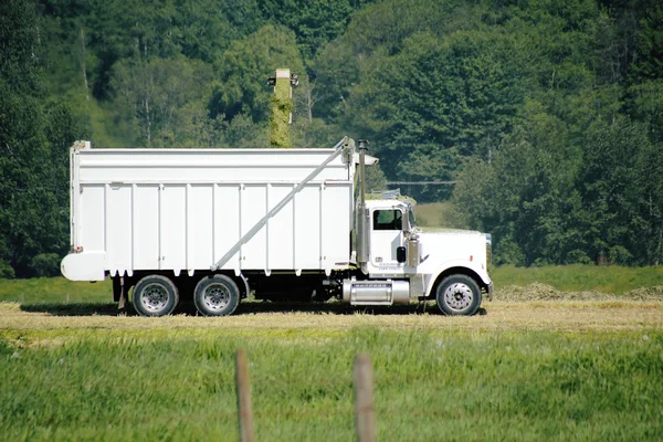 Carregando caminhão com feno de corte — Fotografia de Stock