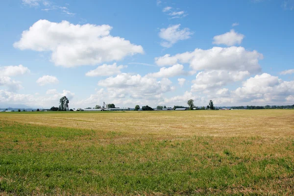 Paese del grano — Foto Stock