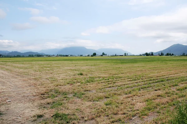 Rural Agricultural Valley Landscape — Stock Photo, Image