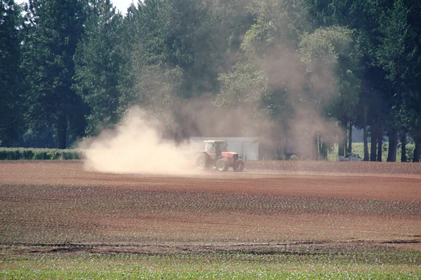 Terreno asciutto, arido, agricolo — Foto Stock