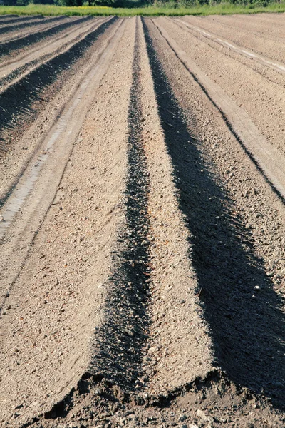 Washington Field Ready for Planting — Stock Photo, Image