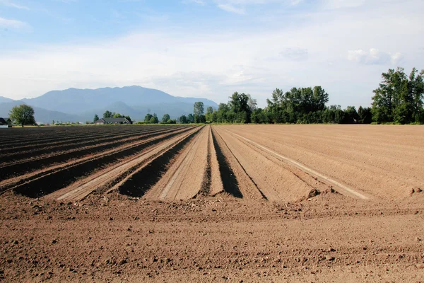 Washington jordbruksmark redo för plantering — Stockfoto