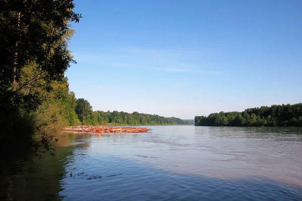 Günlüğe kaydetme ve Fraser Nehri — Stok fotoğraf