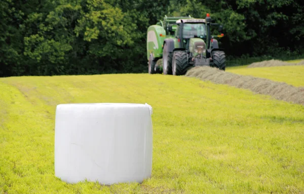 Making höbalar — Stockfoto