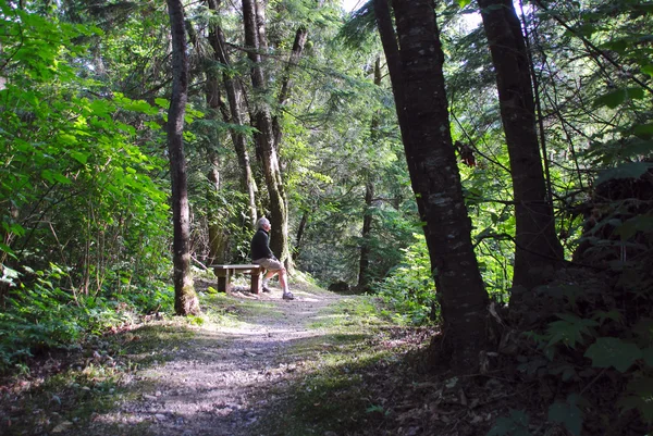 Man Alone with Nature — Stock Photo, Image