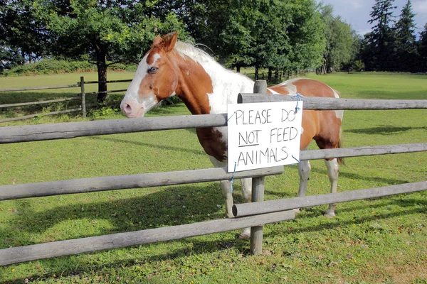 Bitte keine Tiere füttern — Stockfoto